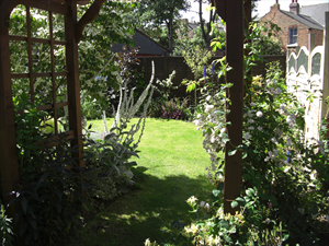 Wooden pergola with rambling.